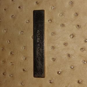 Ivanka Trump Ostrich purse